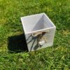 Dřevěný box - Image 3