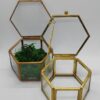 Hexagon na prstýnky, zlatá matná - Image 9