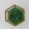 Hexagon na prstýnky, zlatá matná - Image 6